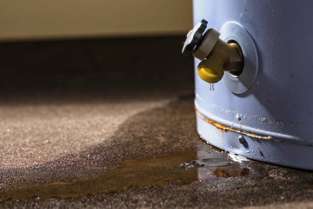 Best Fire Damage Restoration  in Somerville, TN