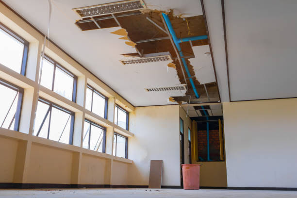 Best Professional water damage repair  in Somerville, TN