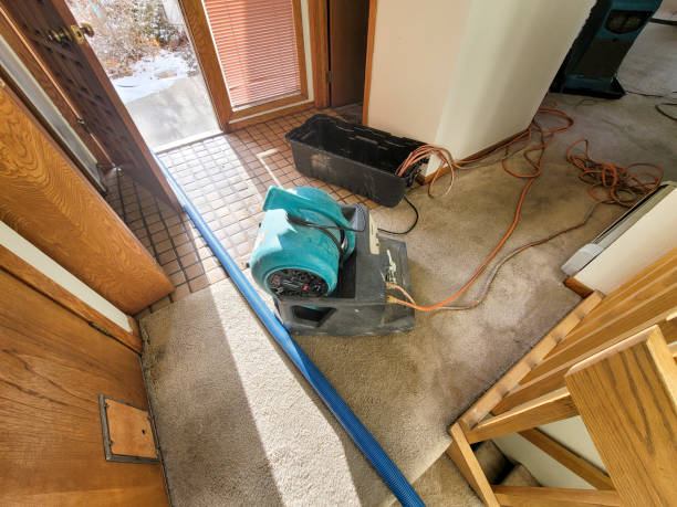Best Flood restoration services  in Somerville, TN