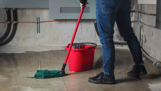 Best Flooded house restoration  in Somerville, TN