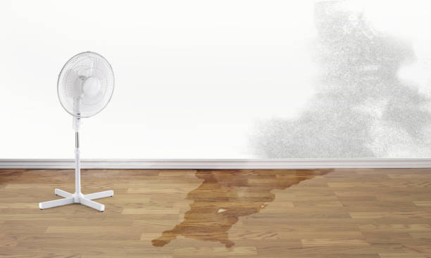 Water damage restoration process in TN