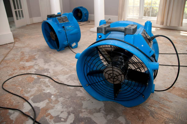 Best Commercial water damage restoration  in Somerville, TN