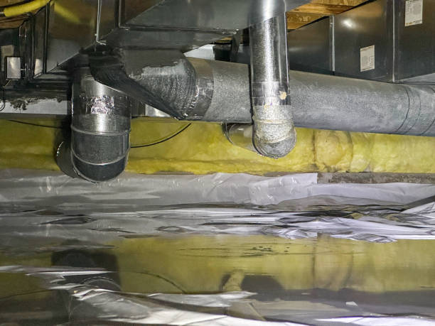 Best Water damage restoration near me  in Somerville, TN
